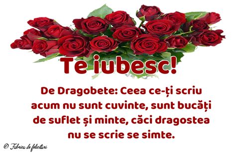 Imagine Cu Trandafiri Te Iubesc Felicitari De Dragobete