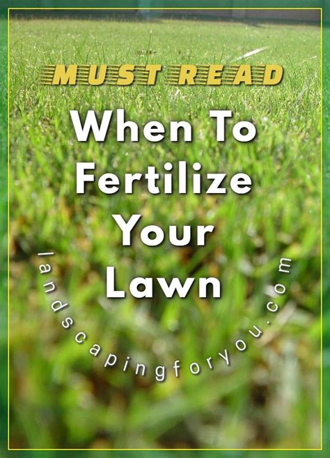 What Is The Best Way To Fertilize Lawn