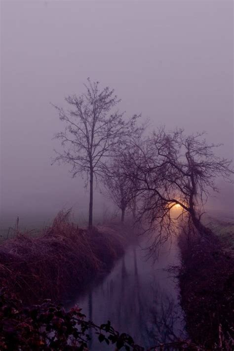 17 Best Images About Fog Mist Solitude On Pinterest