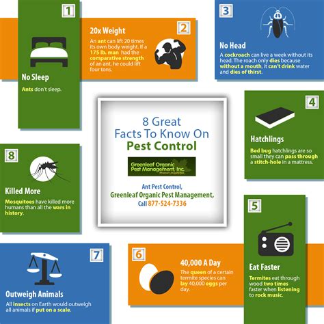 8 Great Facts to Know on Pest Control | Shared Info Graphics