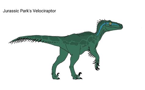 Jurassic Park Velociraptor Redesign By Batterymaster On Deviantart