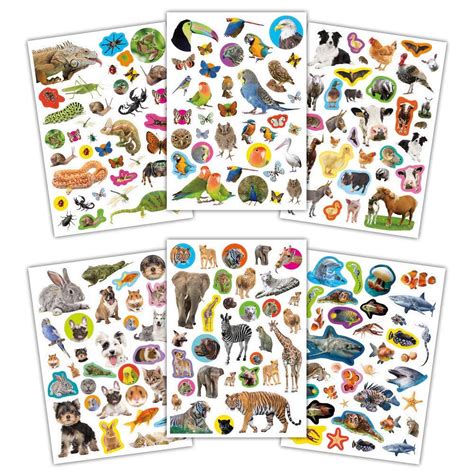 Photographic Sticker Book Animals Galt Toys Uk