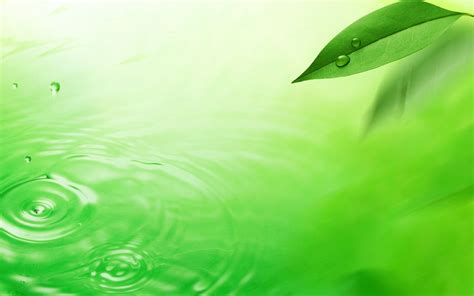 Watermark Fresh Green Leaf Wallpaper 4 1440x900 Wallpaper Download