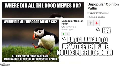 Meme Generator Unpopular Opinion Puffin Rumaisa Peck