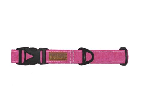 Pink Dog Collar Dog Gear You Need