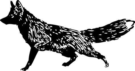 Black And White Fox Drawing At Explore Collection