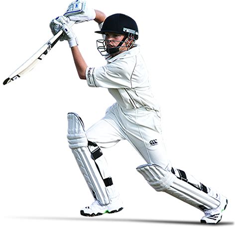 Cricket Png Images Transparent Free Download