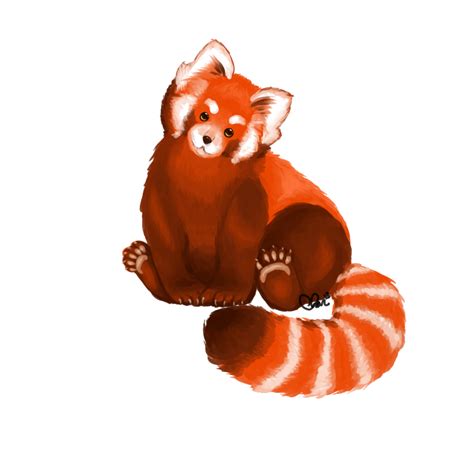 Red Panda Png File Png All Png All