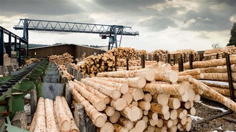 Turning Logs Into Lumber At A Sawmill Quantum Automation