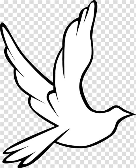 White Dove Icon Columbidae Holy Spirit Doves As Symbols Wedding Dove