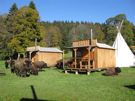 Medias Et Presse Bison Ranch