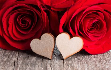 Wallpaper Love Flowers Heart Roses Petals Pair Red Love Heart
