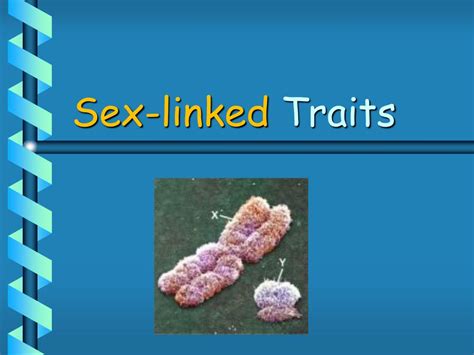 ppt biology 1 sex linked traits powerpoint presentation free download id 5655715