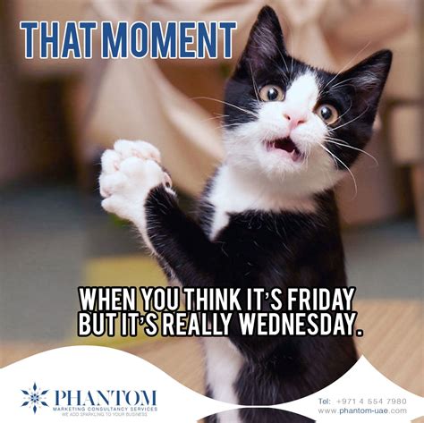 That Moment Its Wednesday Not Friday Meme Pictures Pinterest Meme
