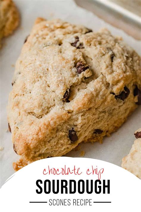 Chocolate Chip Sourdough Scones Are So Tender And Buttery On The Inside