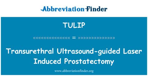 Tulip 定义 经尿道超声引导下激光诱导前列腺切除术 Transurethral Ultrasound Guided Laser