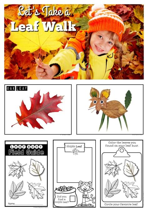 Fall Nature Activities For Preschoolers Teaching Treasure