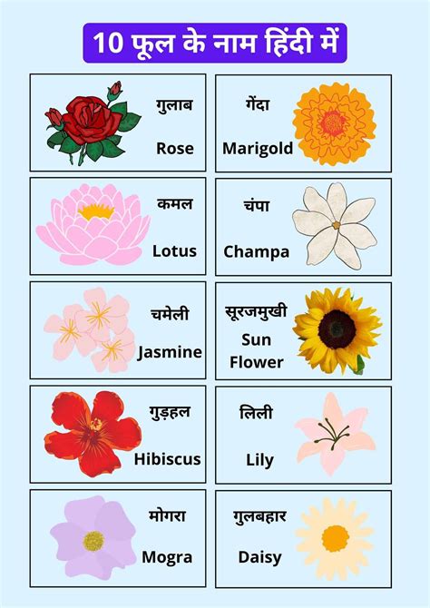 Flowers Names And Pictures In Hindi Best Flower Site