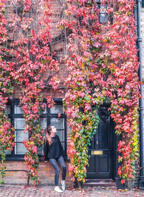 In Search Of Autumn Where To Find Fall Foliage In London Solosophie