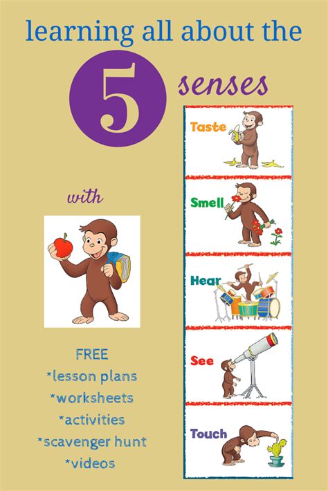 Resources To Teach Kids About The 5 Senses Sensory Issues A Day In