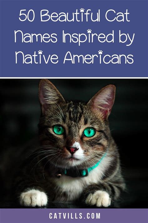 Looking For Some Meaningful Native American Cat Names To Honor Your