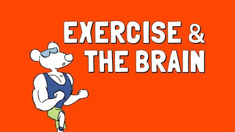 It is offered as a complementary therapy or as a form of alternative medicine. Exercise and the Brain - YouTube