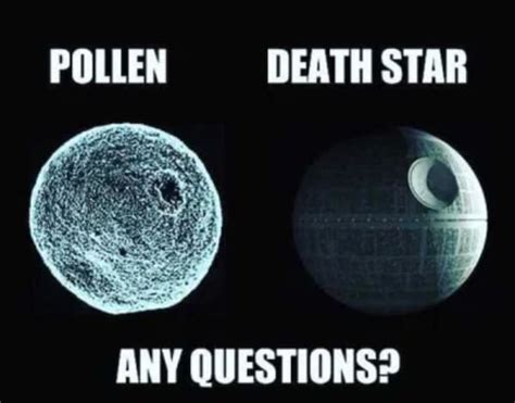 Seasonal Allergy Memes Are Nothing To Sneeze At 25 Memes