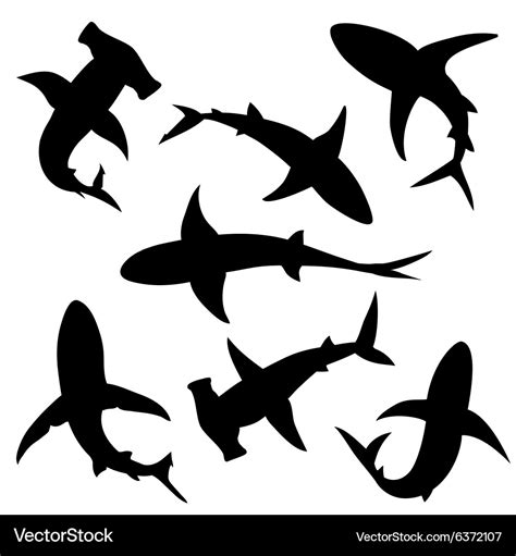 Shark Silhouettes Royalty Free Vector Image Vectorstock