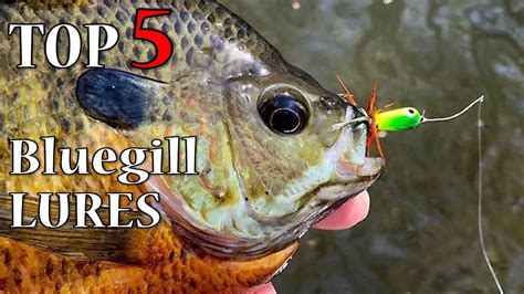 5 Best Bluegill Lures These Plastics Will Catch Those Panfish Youtube