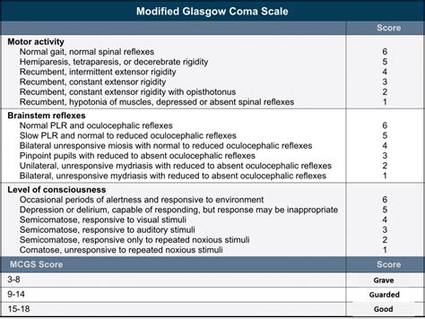 Glasgow Coma Scale Printable