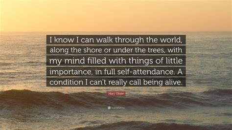 Mary Oliver Quote I Know I Can Walk Through The World Along The Shore Or Under The Trees