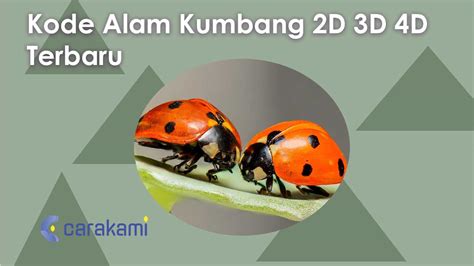 kumbang kulit