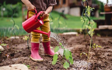 Gardening With Kids A Guide To Backyard Tasks For Every Age Birds