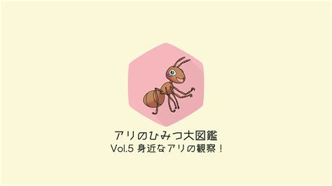 Vol 5 身近なアリの観察アリのひみつ大図鑑 メディアワン
