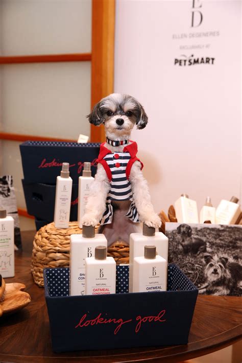 Somebody’s ready for a makeover! Get your dog looking beautiful with