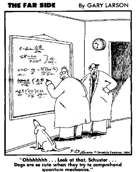 The Str Blog The Far Side School And Science
