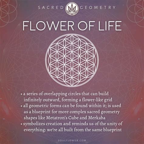 What Does The Flower Of Life Symbolizes Best Flower Site