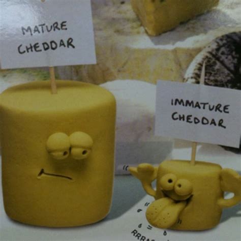 These Funny Cheese Puns Are So Bad Theyre Gouda Trust Me Youll Love
