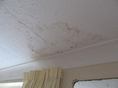 Popcorn ceiling patch, white, 1 quart., ceiling repair. Mold Inspection Checklist | CleanFirst Restoration