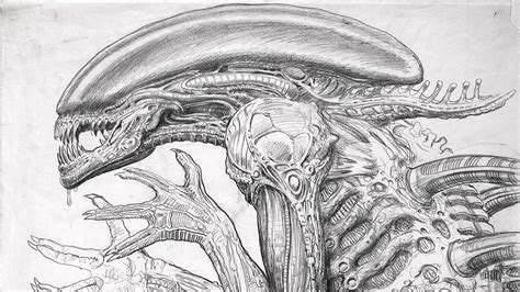 How To Draw An Xenomorph Alien Step By Step Movies Pop