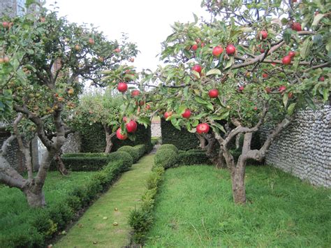 Cley Norfolk Orchard Garden Beautiful Gardens Garden Design