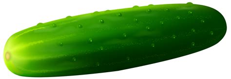 Cucumber Clipart 20 Free Cliparts Download Images On Clipground 2023