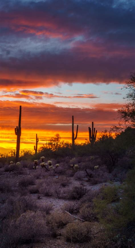 Sunset In Phoenix Best Spots To Watch The Stunning Views