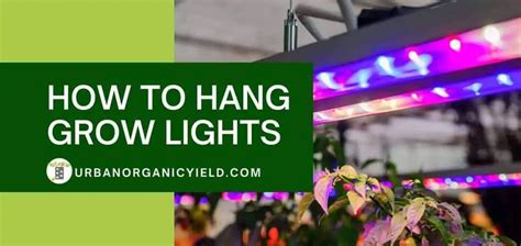How To Hang Grow Lights