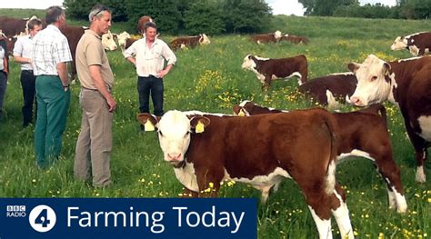 Слушать радио bbc radio 4 онлайн. Pasture-fed farmer hosts BBC Radio 4's Farming Today This ...