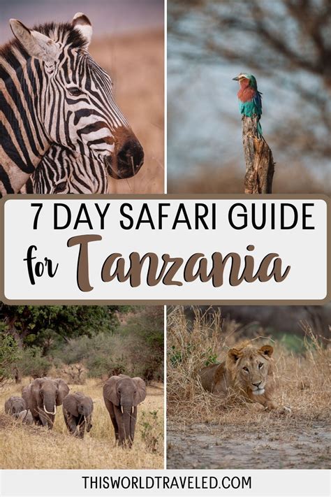 Safari In Tanzania The Ultimate Guide Artofit