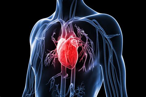 Coronary heart disease (chd) or coronary artery disease occurs when a coronary artery clogs and narrows because of a buildup of plaque. Prevention of Coronary Heart Disease in Ayurveda - Ayur ...