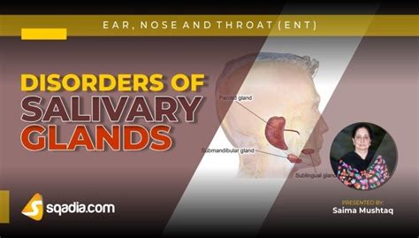 Disorders Of Salivary Glands Ent Medical Lecture