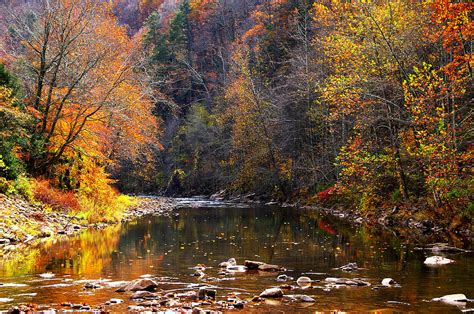 Fall Color Elk River Photograph By Thomas R Fletcher Fine Art America