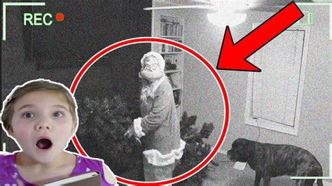 The Grinch Stole Our Christmas Real Life Grinch Caught On Camera Youtube
